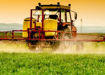 file-20201105-17-d25i09