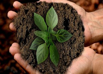 sustainable-agriculture-1